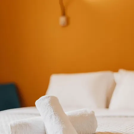 Vivid Cozy In